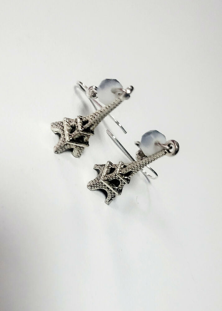 Paris jewelry earrings and keychain