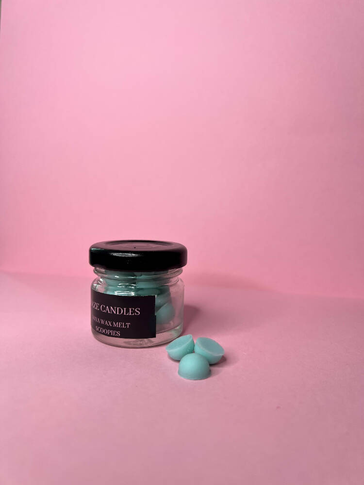 BABY POWDER MINI SOYA WAX MELTS SCOOPIES