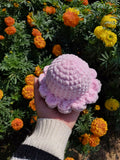 IMG-20241224-WA0040