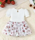 Traditional Baby Girl Floral Dress