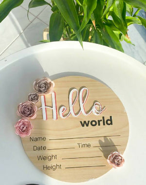 Hello World sign